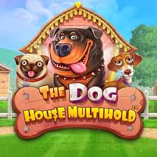 Casino Bonus Dog House Multihold