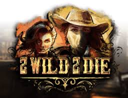 Casino Bonus 2 Wild 2 Die