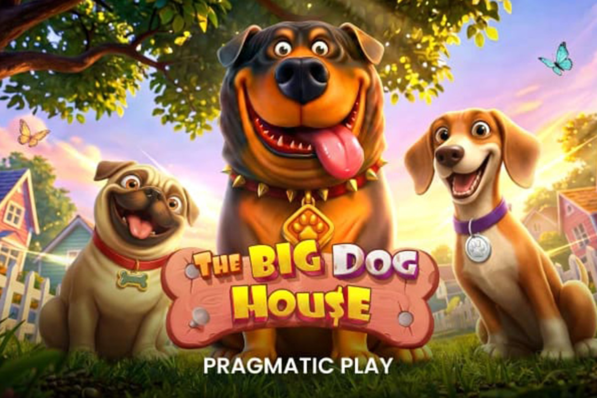 Casino Bonus The Big Dog House